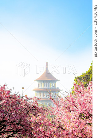 櫻花 櫻花 139410465