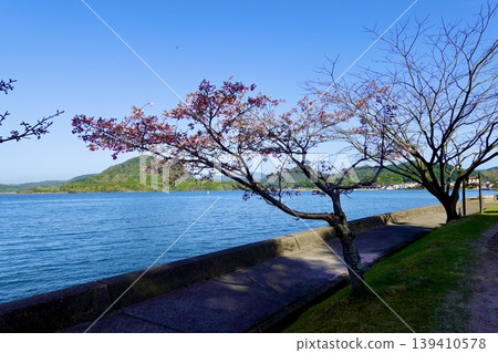 群海灣:從群海灣京比線上的如意寺前眺望大海,背景是群海灣的標示牌。京都府京丹後市群海町。 群海灣:從群海灣京比線上的如意寺前眺望大海,背景是群海灣的標示牌。京都府京丹後市群海町。 139410578