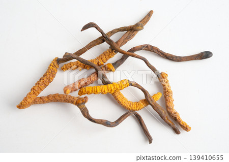 Cordyceps sinensis or Ophiocordyceps sinensis isolated on white background, mushroom herb treatment medicine. Cordyceps sinensis or Ophiocordyceps sinensis isolated on white background, mushroom herb treatment medicine. 139410655