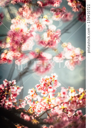 櫻花 櫻花 139410721