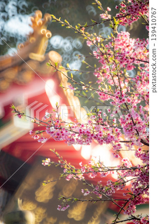 Cherry blossoms Cherry blossoms 139410767