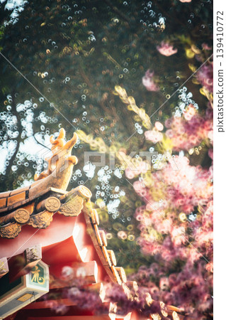 櫻花 櫻花 139410772