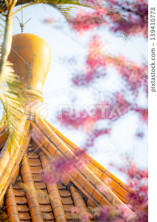 櫻花 櫻花 139410778
