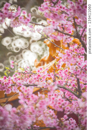 櫻花 櫻花 139411060
