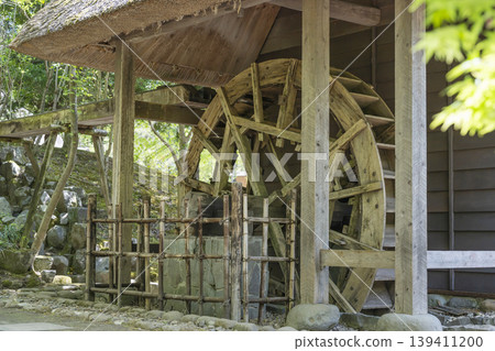 Fresh green water mill Fresh green water mill 139411200
