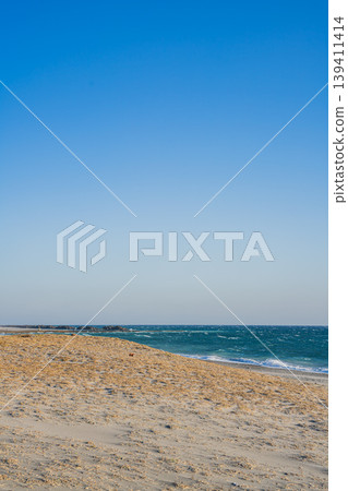 靜岡縣濱松市中田島沙丘的景色 139411414