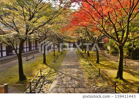 天王院、篠栗屯山觀音寺的秋葉 139411443