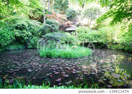 Iwafune Temple grounds Iwafune Temple grounds 139411474