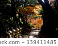糸島市雷山仙如寺的秋葉 139411485