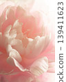 Peony - Shakuyaku. 139411623