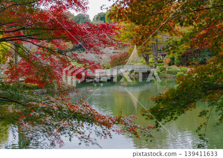 Taiko Bridge, beautifully illuminated by autumn leaves Taiko Bridge, beautifully illuminated by autumn leaves 139411633