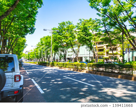 東京新鮮的綠色表參道 東京新鮮的綠色表參道 139411668