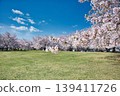 櫻花盛開的公園景色。 139411726