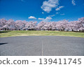 櫻花盛開的公園景色。 139411745
