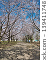 櫻花盛開的公園景色。 139411748