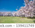 櫻花盛開的公園景色。 139411749