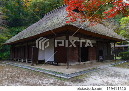 A thatched roof covered in autumn leaves A thatched roof covered in autumn leaves 139411820
