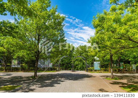 Entrance to the 21st Century Forest and Plaza Entrance to the 21st Century Forest and Plaza 139411830