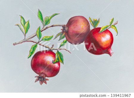 Three pomegranates on a branch Three pomegranates on a branch 139411967