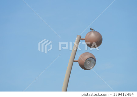 Streetlights shaped like lilies of the valley Streetlights shaped like lilies of the valley 139412494