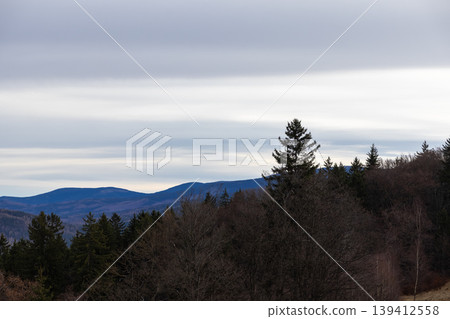 Expansive forested mountain landscape featuring bare deciduous and dark evergreen trees under a dramatic layered cloudy sky, conveying serene wilderness and seasonal beauty Expansive forested mountain landscape featuring bare deciduous and dark evergreen trees under a dramatic layered cloudy sky, conveying serene wilderness and seasonal beauty 139412558