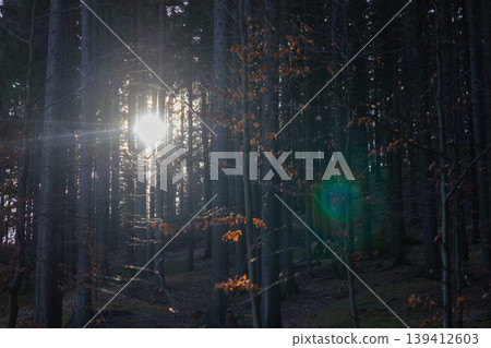 Bright sunbeam pierces dark forest trees, creating an ethereal glow and stunning lens flare, evoking mystery, tranquility, and inspiring environmental wonder Bright sunbeam pierces dark forest trees, creating an ethereal glow and stunning lens flare, evoking mystery, tranquility, and inspiring environmental wonder 139412603