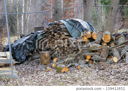 Stacked firewood logs covered by a tarpaulin, with freshly cut timber and fallen leaves, representing sustainable winter heating Stacked firewood logs covered by a tarpaulin, with freshly cut timber and fallen leaves, representing sustainable winter heating 139412652