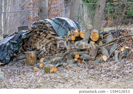Piles of cut firewood logs, some neatly stacked and covered with tarps, others scattered on the ground, showcasing sustainable home heating Piles of cut firewood logs, some neatly stacked and covered with tarps, others scattered on the ground, showcasing sustainable home heating 139412653