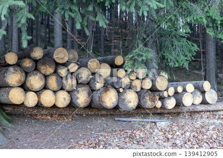 A large pile of freshly cut wooden logs stacked in a lush forest, symbolizing sustainable forestry and renewable timber resource management A large pile of freshly cut wooden logs stacked in a lush forest, symbolizing sustainable forestry and renewable timber resource management 139412905