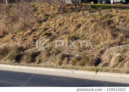 Dry grassy embankment with brown and green vegetation alongside an asphalt road and concrete curb, depicting a natural roadside landscape texture Dry grassy embankment with brown and green vegetation alongside an asphalt road and concrete curb, depicting a natural roadside landscape texture 139413022