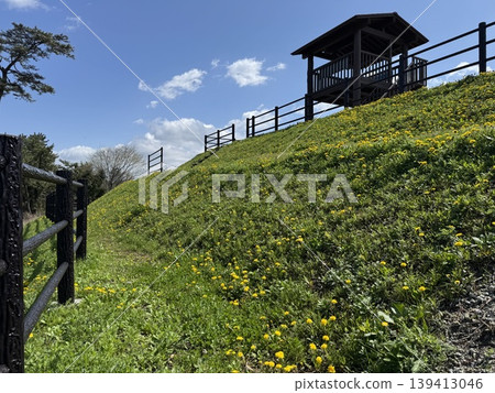 Dandelion Hill with a view of the sea (Photo taken at: Namerikawa Seaside Park Observation Deck, Namerikawa City, Toyama Prefecture; Photo taken in April) 139413046