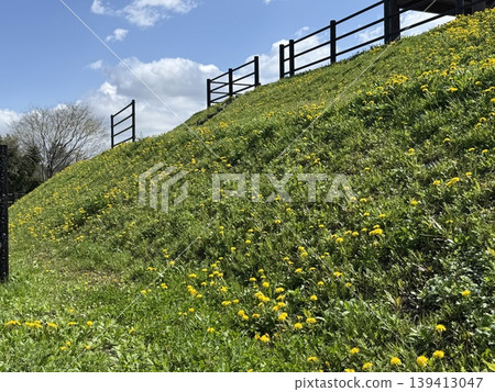 蒲公英山，可遠眺大海（照片拍攝於：富山縣滑川市滑川海濱公園展望台；拍攝時間：4月） 139413047