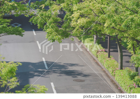 Fresh greenery and a two-lane road 139413088