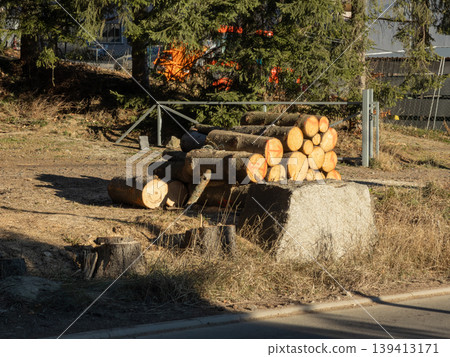 Stacked timber logs with painted markings resting on ground near forest, representing sustainable forestry practices, natural resources, lumber industry supply, and raw material harvesting for wood Stacked timber logs with painted markings resting on ground near forest, representing sustainable forestry practices, natural resources, lumber industry supply, and raw material harvesting for wood 139413171