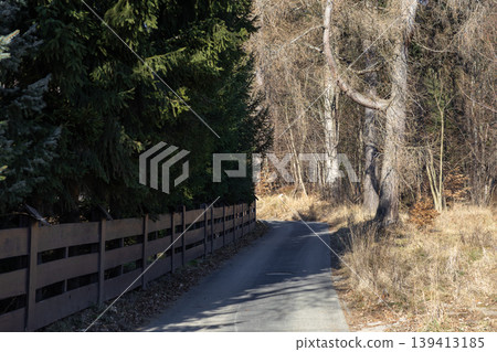 Asphalt road winding through a quiet rural landscape with a wooden fence and dense coniferous trees, representing a peaceful journey, countryside exploration, or serene nature travel in autumn season Asphalt road winding through a quiet rural landscape with a wooden fence and dense coniferous trees, representing a peaceful journey, countryside exploration, or serene nature travel in autumn season 139413185