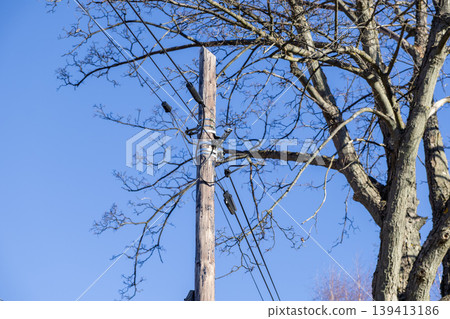 A wooden utility pole with electrical wires stands against a clear blue sky, symbolizing vital infrastructure, power transmission, urban development, connectivity, and rural utility services today A wooden utility pole with electrical wires stands against a clear blue sky, symbolizing vital infrastructure, power transmission, urban development, connectivity, and rural utility services today 139413186