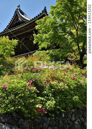 Zenpoji Temple, Tower Gate, during the azalea season (Nishikyo Ward, Kyoto City) Zenpoji Temple, Tower Gate, during the azalea season (Nishikyo Ward, Kyoto City) 139413202