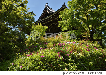 Zenpoji Temple, Tower Gate, during the azalea season (Nishikyo Ward, Kyoto City) Zenpoji Temple, Tower Gate, during the azalea season (Nishikyo Ward, Kyoto City) 139413203