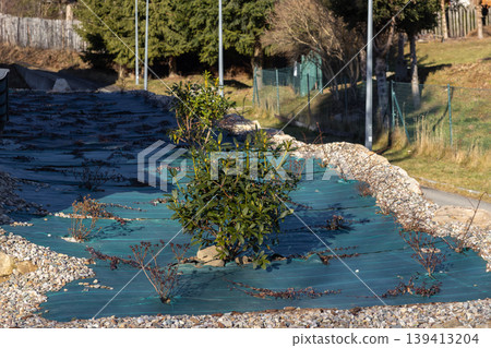 Young shrubs are carefully planted in a garden bed featuring protective landscape fabric and a border of decorative stones to demonstrate professional landscaping techniques and effective weed control Young shrubs are carefully planted in a garden bed featuring protective landscape fabric and a border of decorative stones to demonstrate professional landscaping techniques and effective weed control 139413204