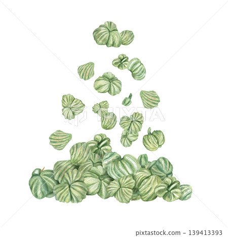 Pile of green Nasturtium seeds falling down on isolated background. Watercolor illustration of edible kernel and pip. for organic healthy food, clean eating, vegan nutrition, and superfood ingredient Pile of green Nasturtium seeds falling down on isolated background. Watercolor illustration of edible kernel and pip. for organic healthy food, clean eating, vegan nutrition, and superfood ingredient 139413393