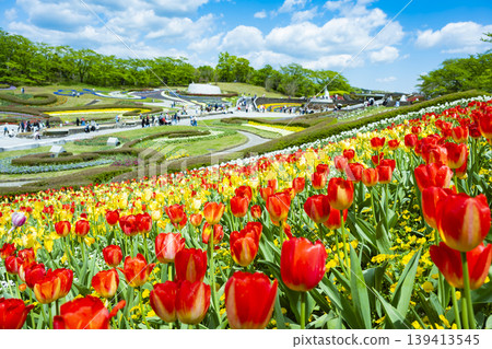 國立公園Michinoku Lakeide Park Kababo Lake Miyagi Prefecture 國立公園Michinoku Lakeide Park Kababo Lake Miyagi Prefecture 139413545