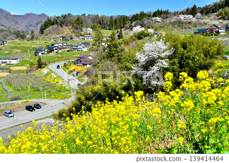 Scenery of Ogawa Village, Nagano Prefecture (Ogawa Village, Nagano Prefecture) [2026.4] 139414464