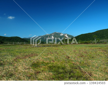 Oze and Mt. Shibutsu in early summer 139414503