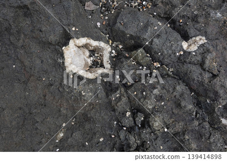 Calcite crystal cavity formation in weathered coastal stone Calcite crystal cavity formation in weathered coastal stone 139414898