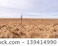 Vast grassland landscape Vast grassland landscape 139414990