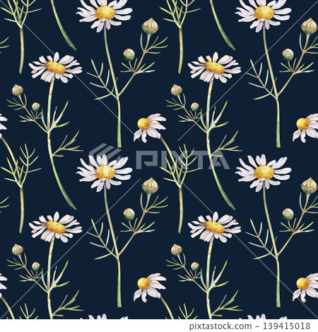 Seamless watercolor drawing with white chamomile flowers on a dark background. The hand-painted floral pattern includes realistic delicate daisies with yellow centers and green leaves. A botanical Seamless watercolor drawing with white chamomile flowers on a dark background. The hand-painted floral pattern includes realistic delicate daisies with yellow centers and green leaves. A botanical 139415018