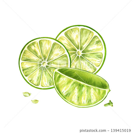 Watercolor lime composition with round slices, juicy quarters and scattered seeds on an isolated background. For use in healthy lifestyle branding, gourmet food packaging, cocktail and juice labels Watercolor lime composition with round slices, juicy quarters and scattered seeds on an isolated background. For use in healthy lifestyle branding, gourmet food packaging, cocktail and juice labels 139415019