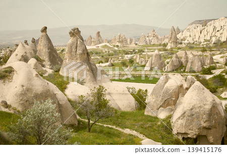 Panorama of Cappadocia rock formations landscape in Turkey 139415176
