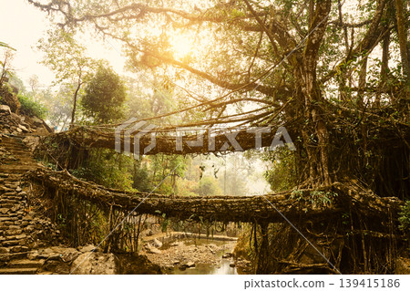 Double decker living root bridge in Meghalaya, India Double decker living root bridge in Meghalaya, India 139415186