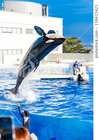 Orca's backflip Orca's backflip 139415421